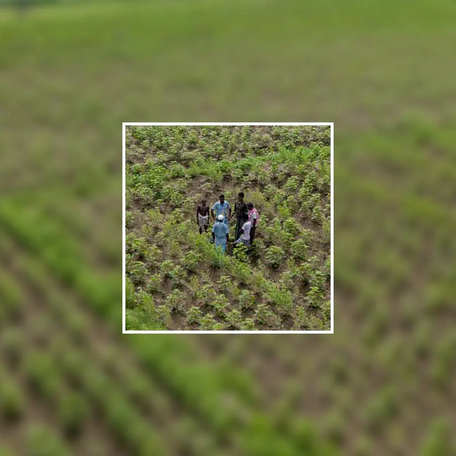 Transparante herkomst