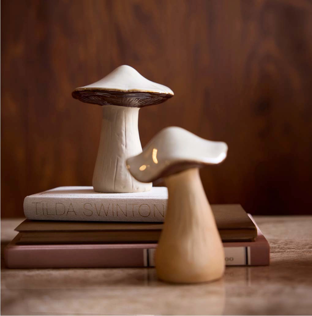 Set glanzende keramische paddenstoelen, geplaatst op boeken en een decoratieve doos.