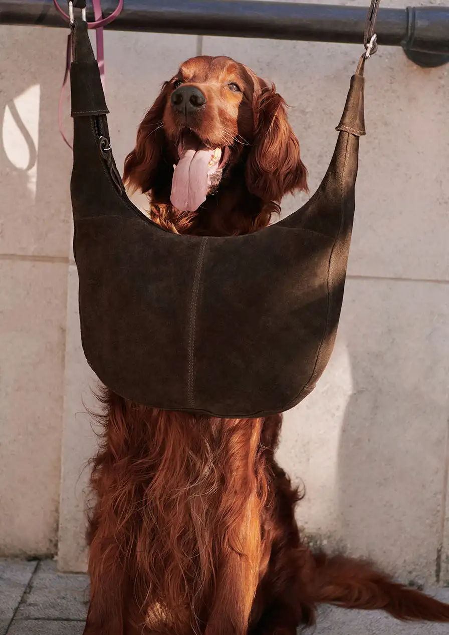 Elegante, bruine suède tas.